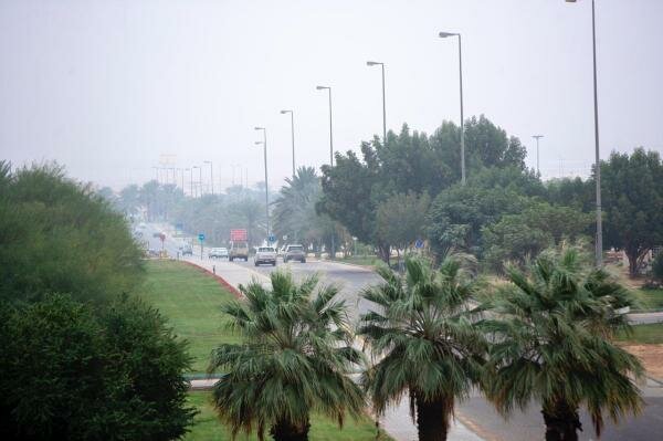 مبادرة أرض القصيم خضراء تترقب الوصول للشتلة المليونية