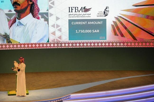 محقِّقًا مليونًا وسبع مئة وخمسين ألف ريال.. المزاد الدولي لمزارع إنتاج الصقور يعرض أغلى "جير" في العالم