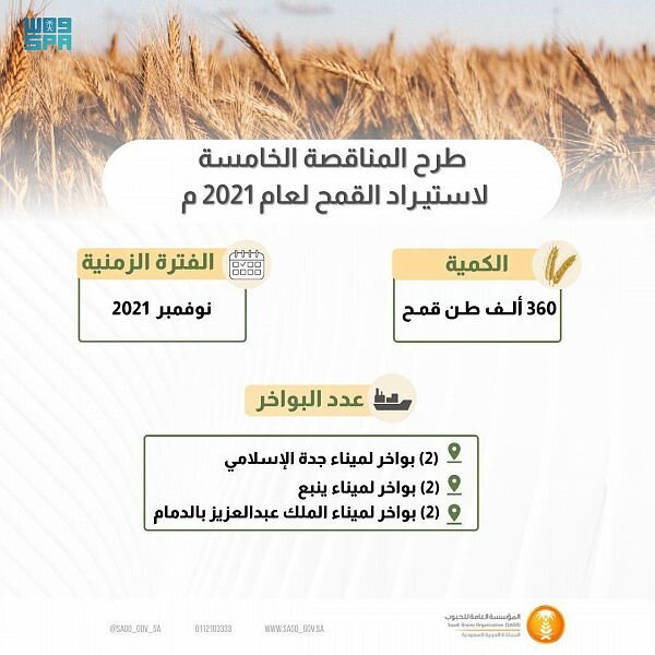 المؤسسة العامة للحبوب تطرح مناقصة لاستيراد 360 ألف طن قمح