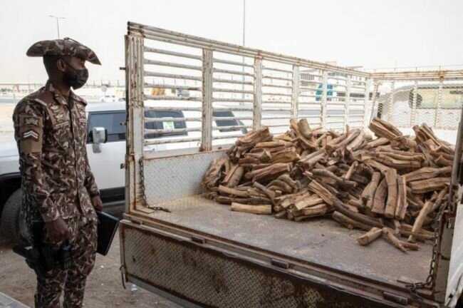 القوات الخاصة للأمن البيئي تضبط مخالفًا لنظام البيئة يبيع وينقل حطباً محليًا بالرياض