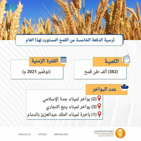المؤسسة العامة للحبوب تنتهي من ترسية الدفعة الخامسة من القمح المستورد هذا العام