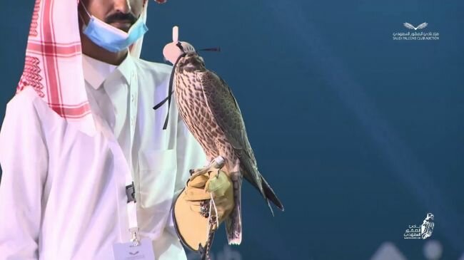 مزاد نادي الصقور السعودي يعلن تخصيص 5 فرق لخدمة الطواريح في المملكة