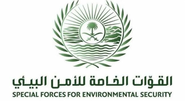 القوات الخاصة للأمن البيئي توقف (19) مخالفًا القوات الخاصة للأمن البيئي توقف (19) مخالفًا