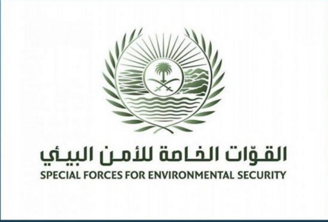 القوات الخاصة للأمن البيئي تضبط موقعًا لبيع الحطب المحلي في مدينة الرياض