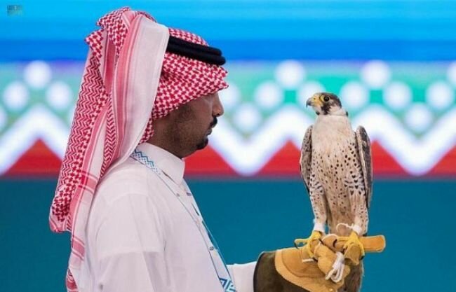 صقَّار يستعين بأولاده لطرح شاهين الـ 67 ألفاً بمزاد نادي الصقور السعودي