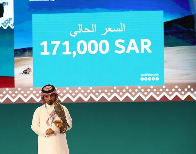 بيع صقراً نادراً بـ ١٧١ ألفاً في مزاد نادي الصقور السعودي