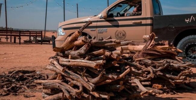 القوات الخاصة للأمن البيئي تضبط (9) مخالفين لنظام البيئة بمحافظة جدة