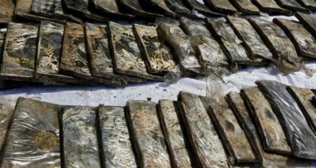 إحباط تهريب (24) كيلوجرامًا من الحشيش المخدر بحوزة (4) مخالفين لنظام أمن الحدود بعسير